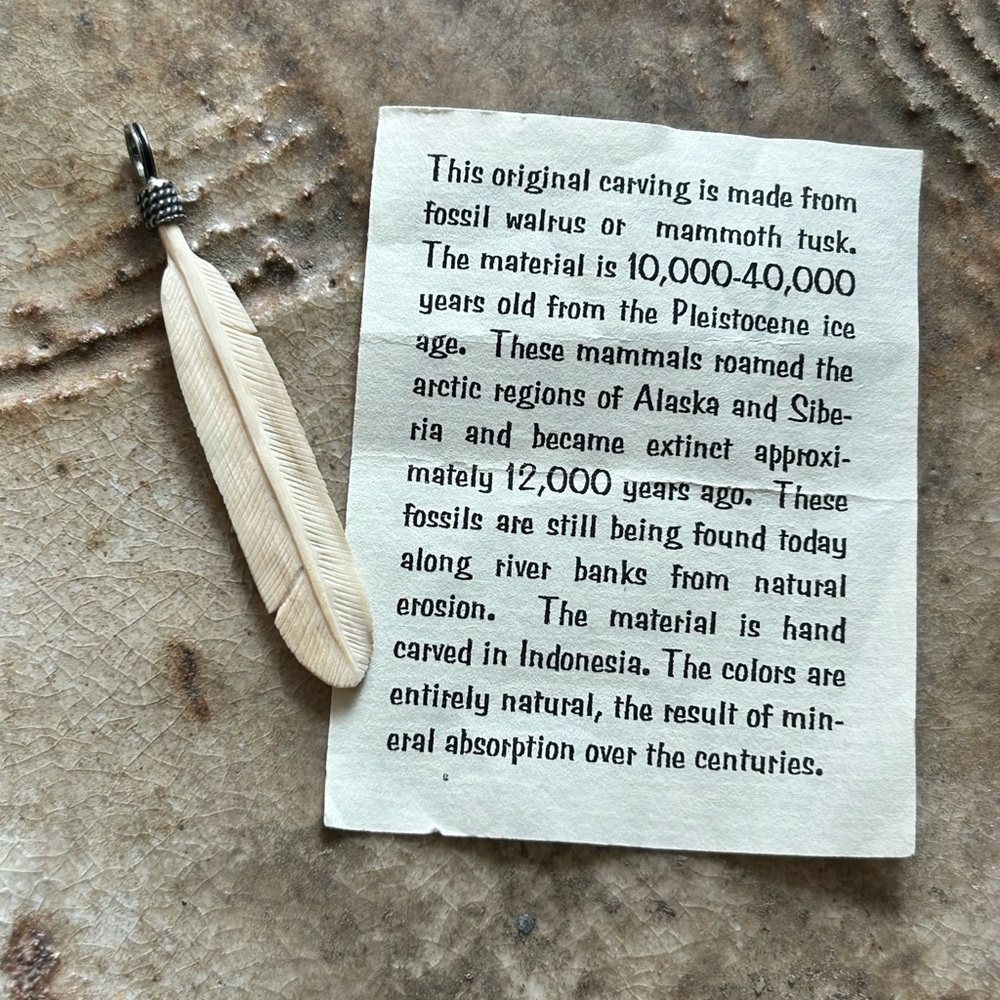 Carved Feather Pendant - Natural